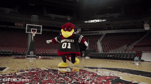Cheecocks Mascot On Basketball Court With Confetti GIF