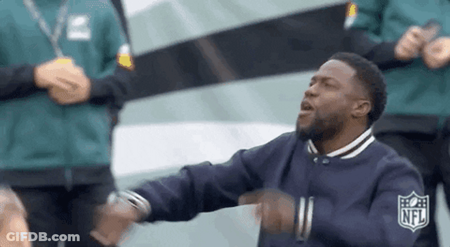 Cheering Atlanta Falcons Football Kevin Hart Damn GIF