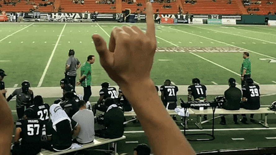 Cheering Football Game In Hawaii GIF