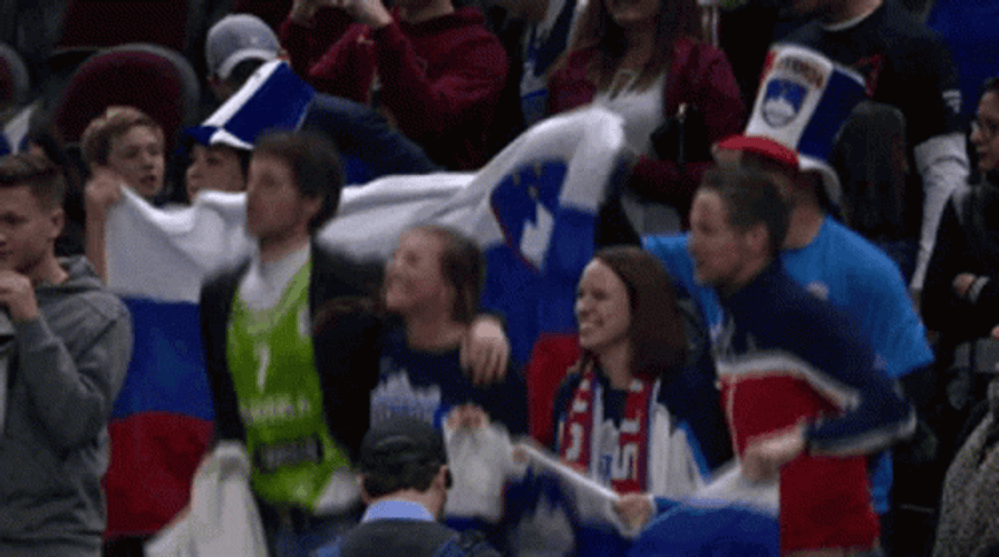 Cheering For Slovenia GIF