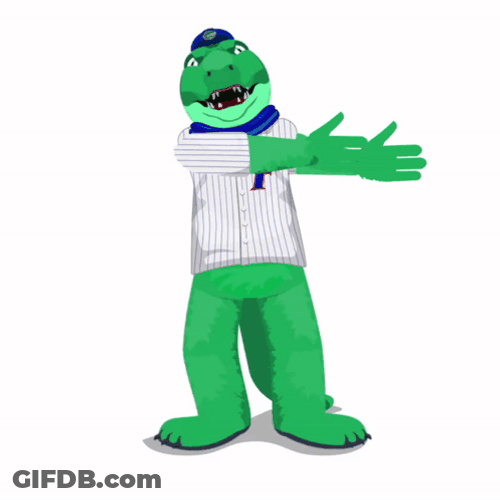 Cheering Go Gators GIF
