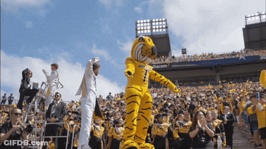 Cheering Mizzou Mascot GIF