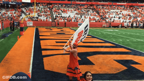 Cheerleader Holding Flag S GIF