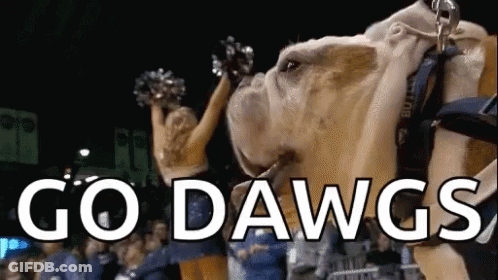 Cheerleader Holds Up Bulldog Saying Go Dawgs GIF