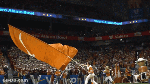 Cheerleader Waving Orange Flag At Valero Alamo Bowl GIF
