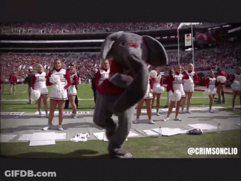 Cheerleaders And Elephant Mascot On Field @Crimsonclio GIF