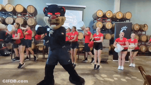 Cheerleaders And Mascot Dancing In Front Of Beyond The Wild 12 Screen GIF