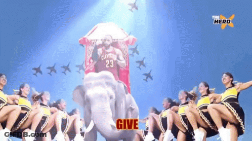 Cheerleaders Are Riding An Elephant With A Man In A Cleveland Jersey GIF