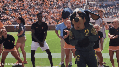 Cheerleaders Dancing In Front Of Mascot Wearing T Shirt GIF