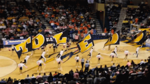 Cheerleaders Holding TDL Flags GIF