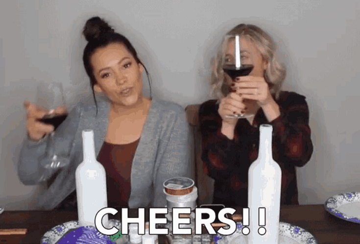Cheers Wine Drink GIF