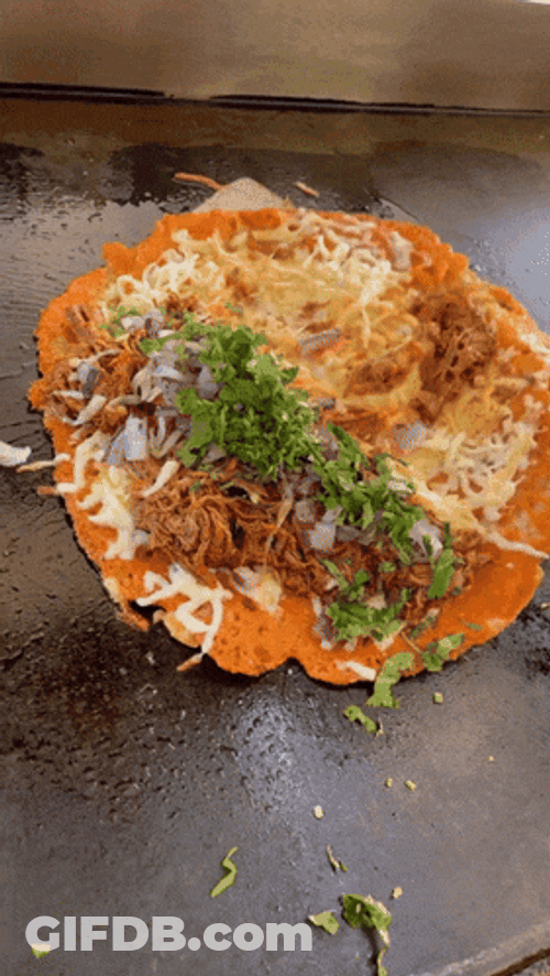 Cheese Shell Birria Quesadilla Food GIF