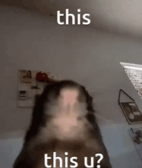 Cheesed To Meet You Rat Showering GIF