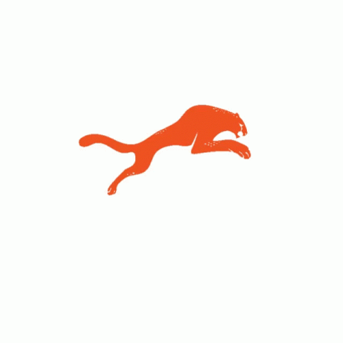 Cheetah Logo Icon Orange GIF