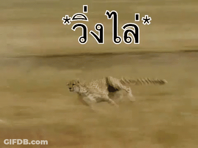 Cheetah Running Full Speed GIF