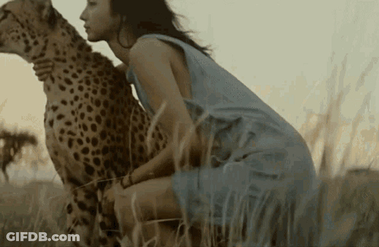Cheetah Tamed By Woman GIF