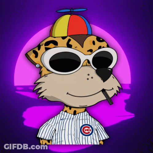 Cheetah Wearing Cubs Jersey GIF