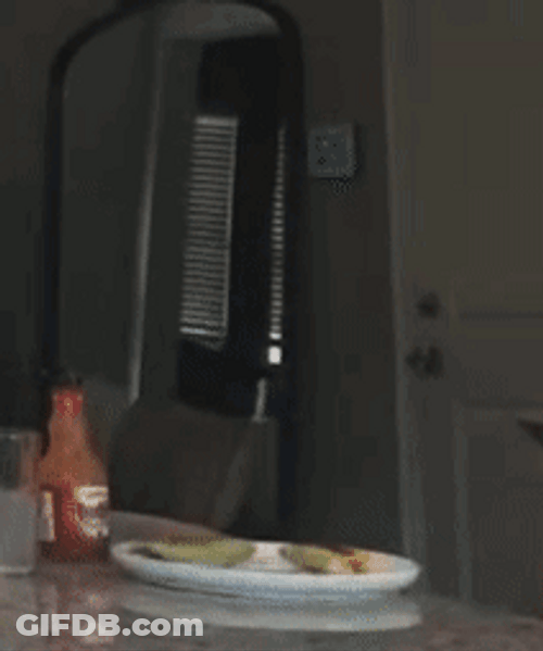 Chelsea Green Surprised Breakfast GIF