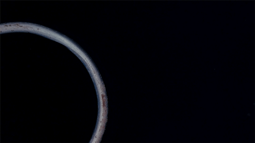 Chemistry Copper Element Formula Production GIF