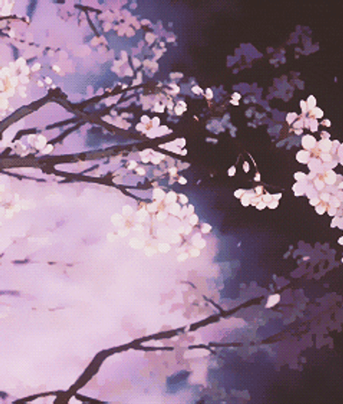 Cherry Blossom Aesthetic PFP GIF