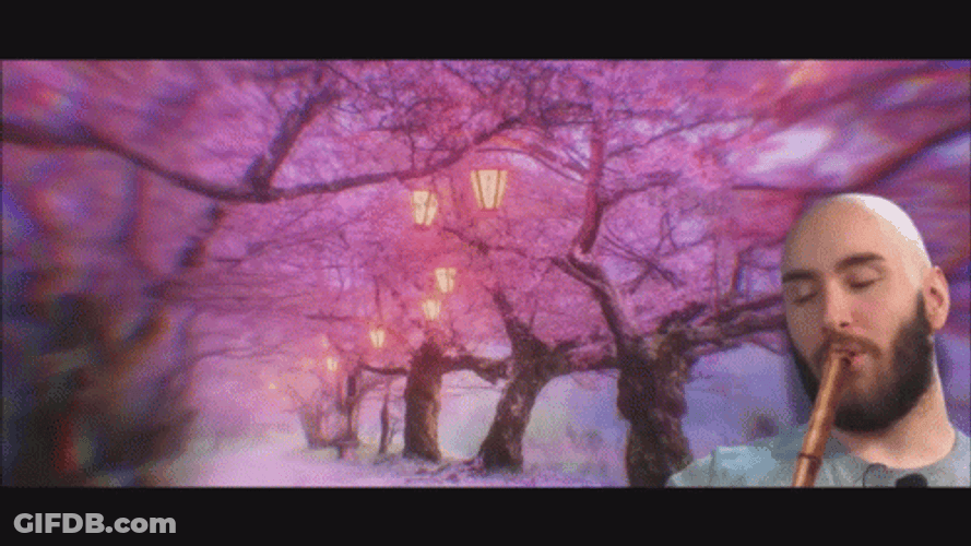 Cherry Blossom Alderiate Flute GIF
