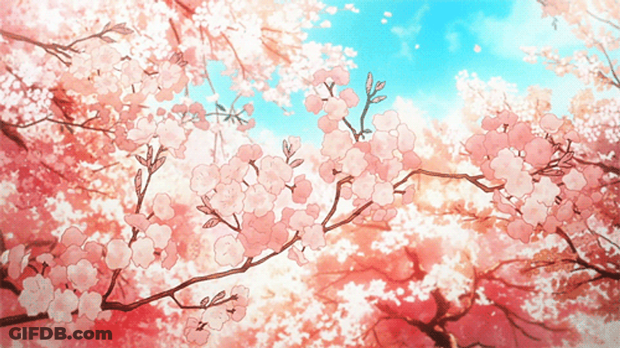 Cherry Blossom Anime Windblown GIF
