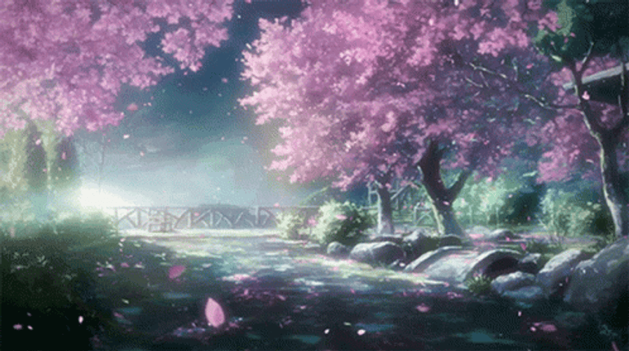 Cherry Blossom Bridge GIF