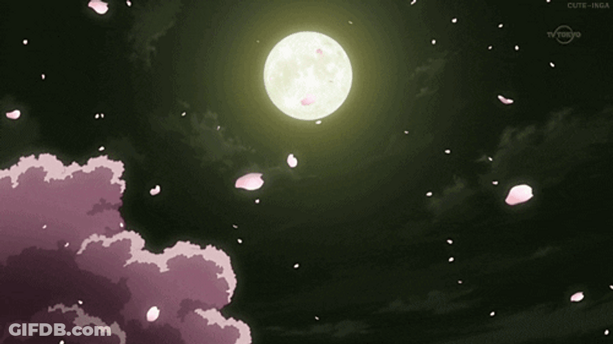 Cherry Blossom Bright Full Moon GIF