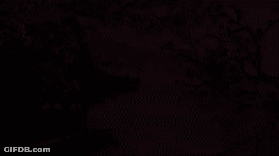 Cherry Blossom Chinese Temple GIF