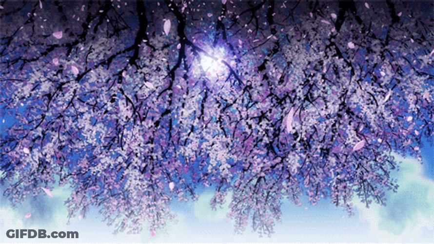 Cherry Blossom Falling Petals GIF