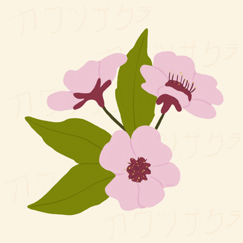 Cherry Blossom Flower Calmly Move On The First Day Of Spring GIF