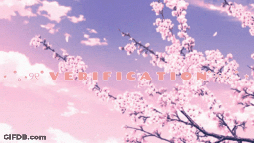 Cherry Blossom Flying Petals GIF