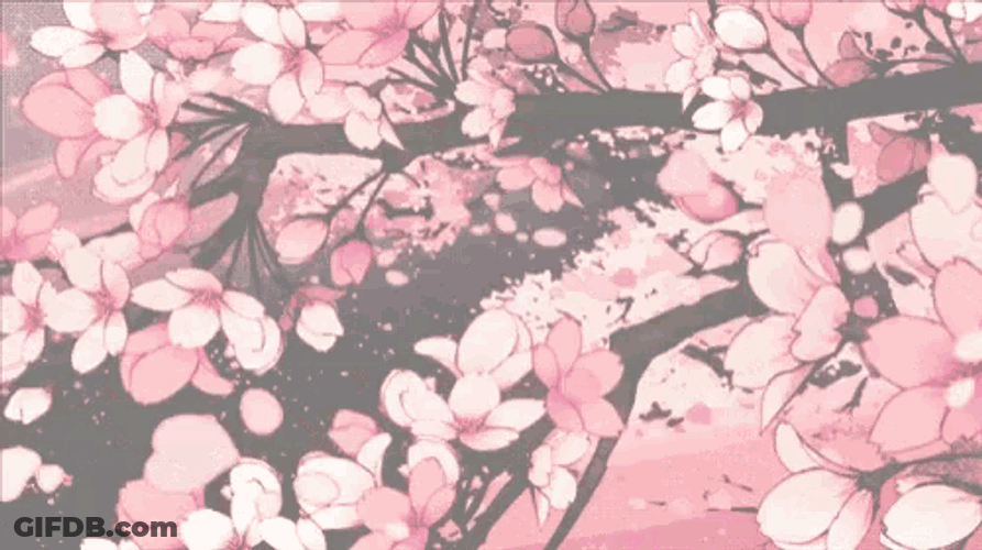 Cherry Blossom GIF