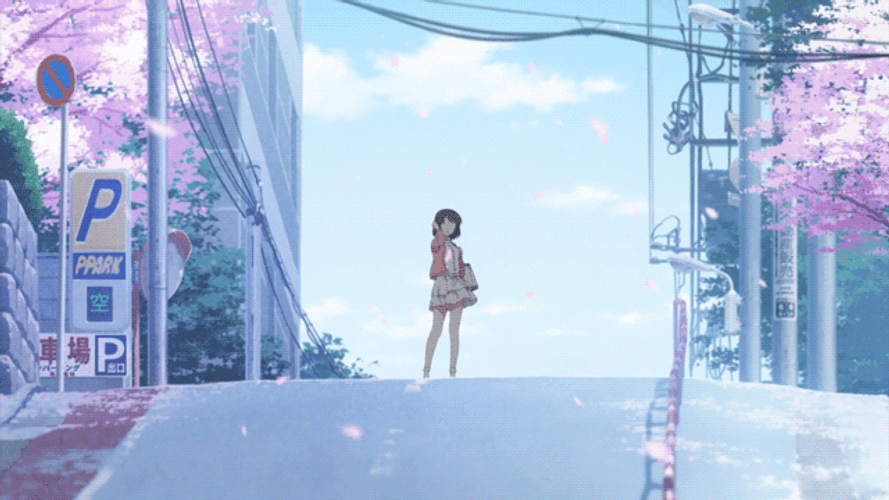 Cherry Blossom Japanese Anime Street GIF