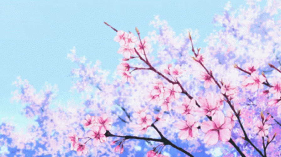 Cherry Blossom Kawaii Pink Anime GIF