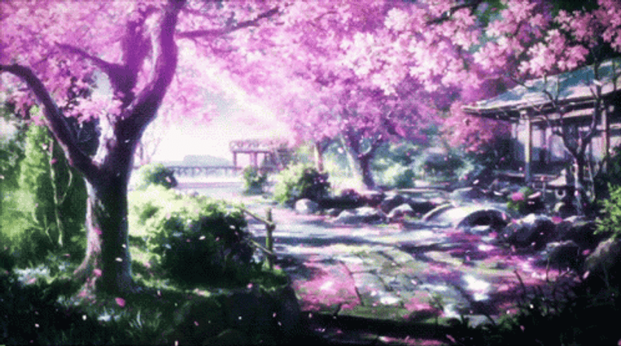 Cherry Blossom Nerawareta Gakuen GIF