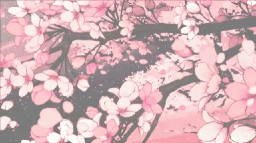 Cherry Blossom Pink Sakura GIF