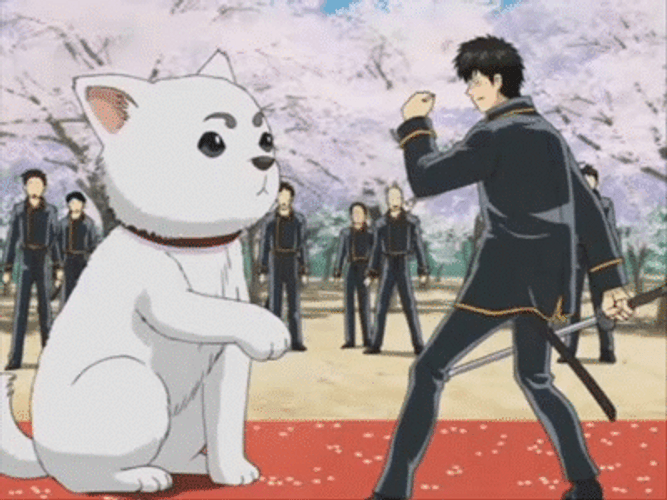 Cherry Blossom Sadaharu Hijikata GIF