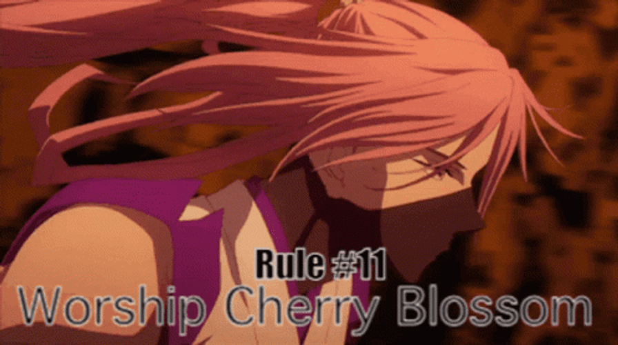 Cherry Blossom SK8 The Infinity GIF