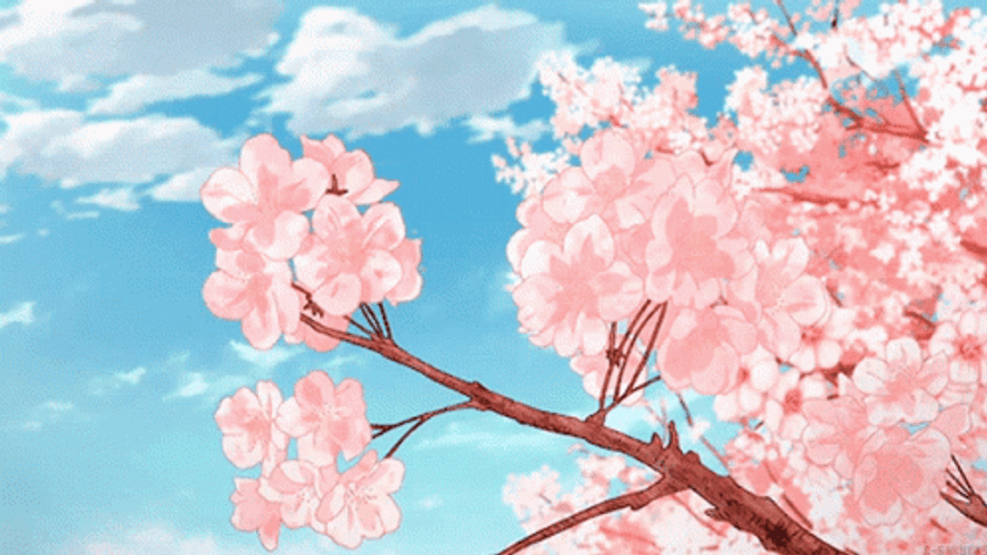 Cherry Blossom Spring Floral Animation GIF