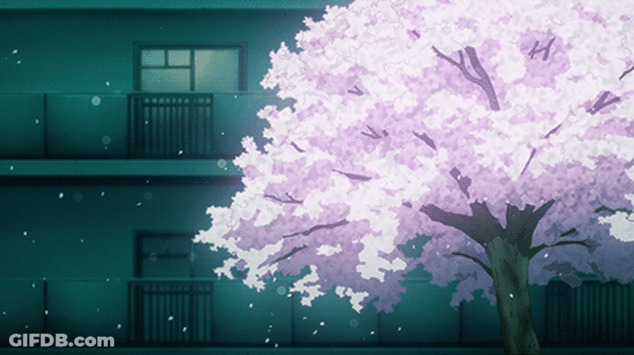 Cherry Blossom Takaki Tōno 5 Centimeters/Second GIF