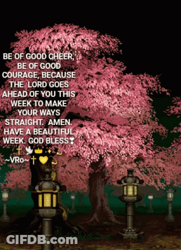 Cherry Blossom Tree Be Of Good Cheer GIF