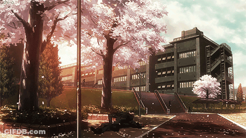 Cherry Blossom Tree In Front Of Building GIF
