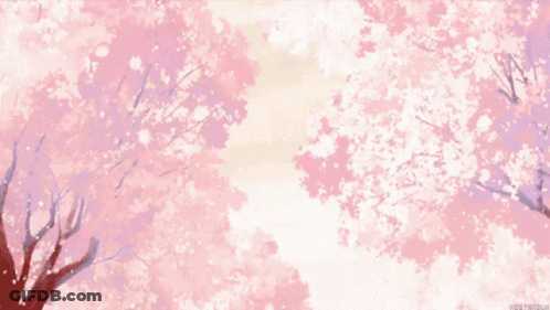 Cherry Blossom Tree With Pink Flowers GIF