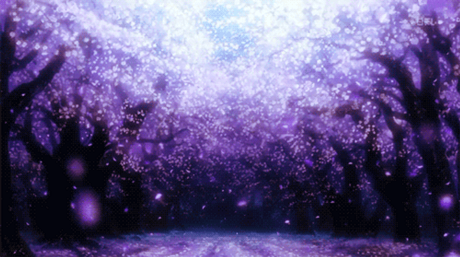 Cherry Blossom Trees Glowing GIF