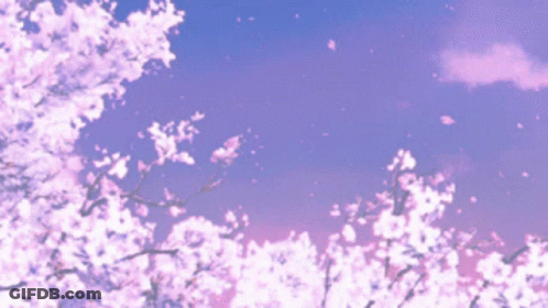 Cherry Blossoms Are Falling From A Tree With A Purple Sky In The Background GIF