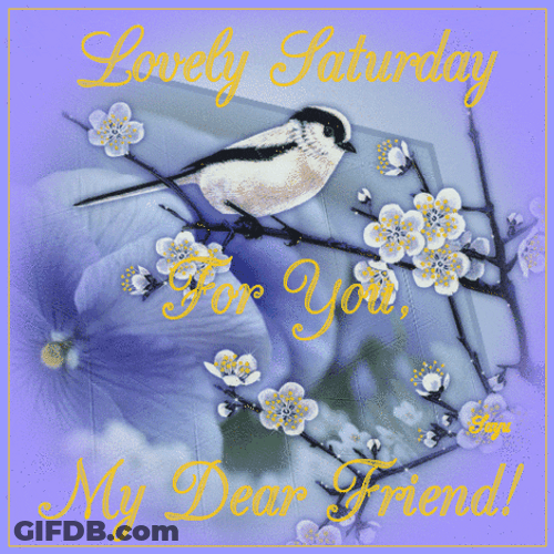 Cherry Blossoms Design Saturday Blessings GIF