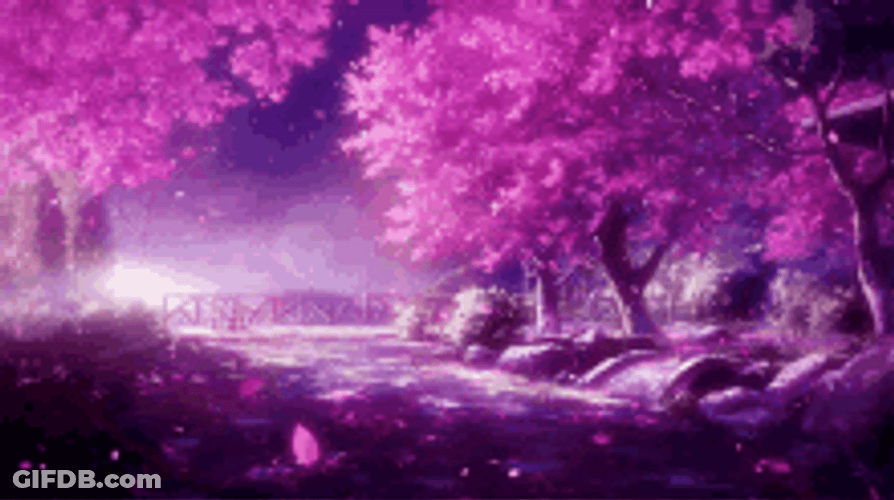 Cherry Blossoms Sakura 5 Centimeters Per Second GIF