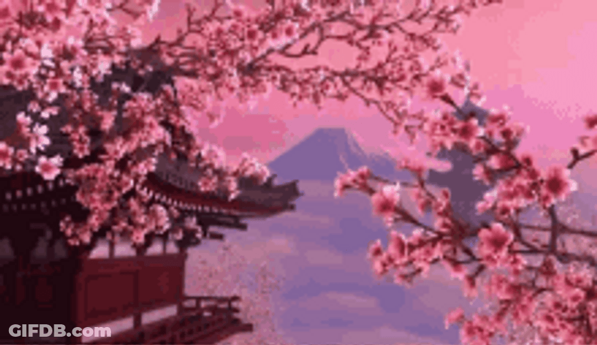 Cherry Blossoms Sakura Pink Flowers Japan Anime GIF