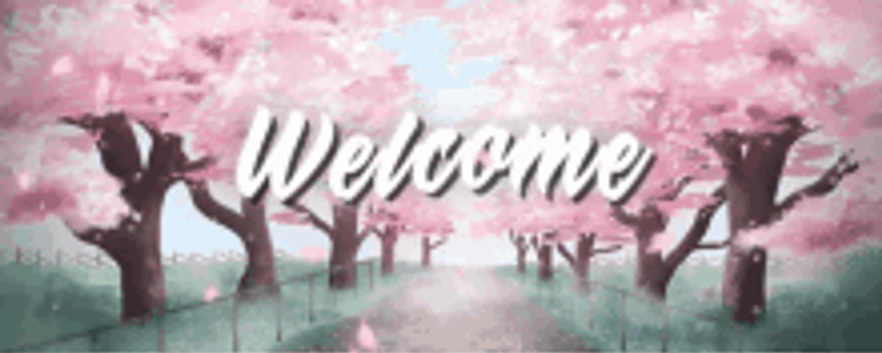 Cherry Blossoms Sakura Pink Flowers Japan Welcome GIF